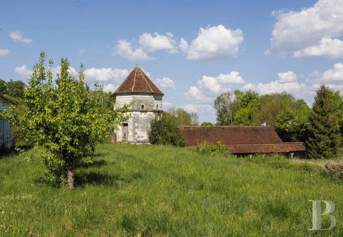 chateaux a vendre centre val de loire   - 14