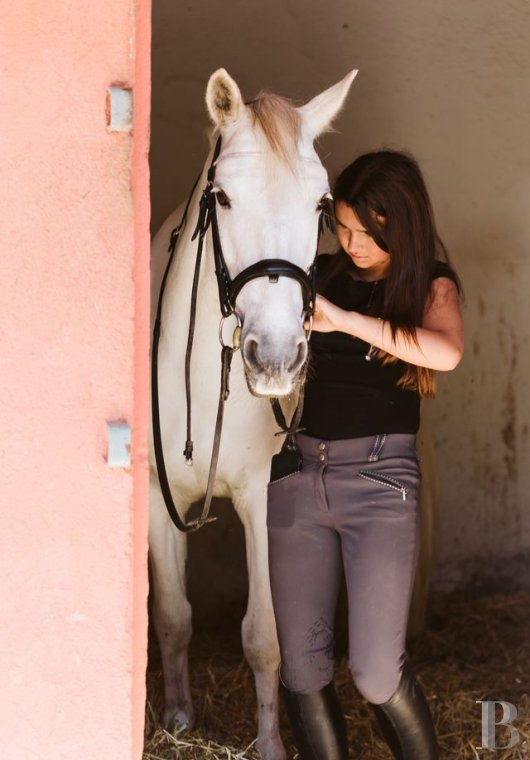 An estate dedicated to holidays and horse riding between Aubagne and Saint-Cyr-sur-Mer in the Bouches-du-Rhône department  - photo  n°7