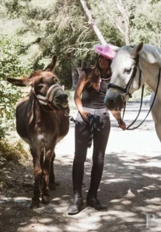 An estate dedicated to holidays and horse riding between Aubagne and Saint-Cyr-sur-Mer in the Bouches-du-Rhône department  - photo  n°39