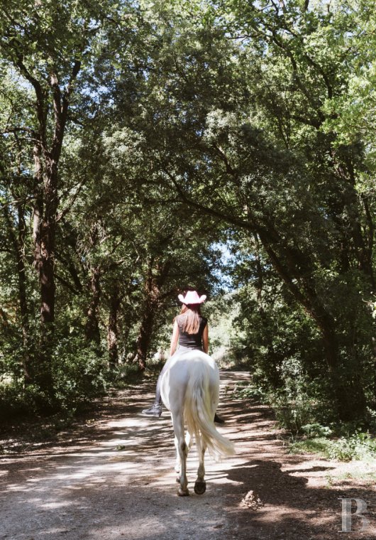 An estate dedicated to holidays and horse riding between Aubagne and Saint-Cyr-sur-Mer in the Bouches-du-Rhône department  - photo  n°6