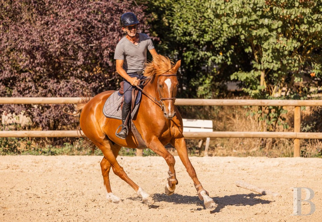 An estate dedicated to holidays and horse riding between Aubagne and Saint-Cyr-sur-Mer in the Bouches-du-Rhône department  - photo  n°41