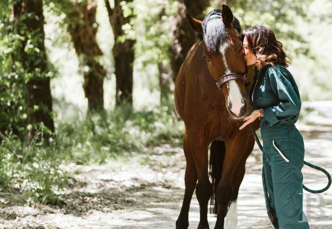 An estate dedicated to holidays and horse riding between Aubagne and Saint-Cyr-sur-Mer in the Bouches-du-Rhône department  - photo  n°40