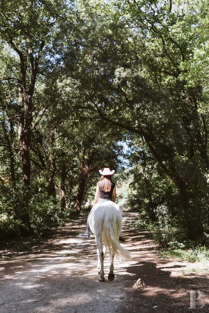 Dans les Bouches-du-Rhône, entre Aubagne et Saint-Cyr-sur-Mer, un domaine dédié à la villégiature et à l’équitation - photo  n°6