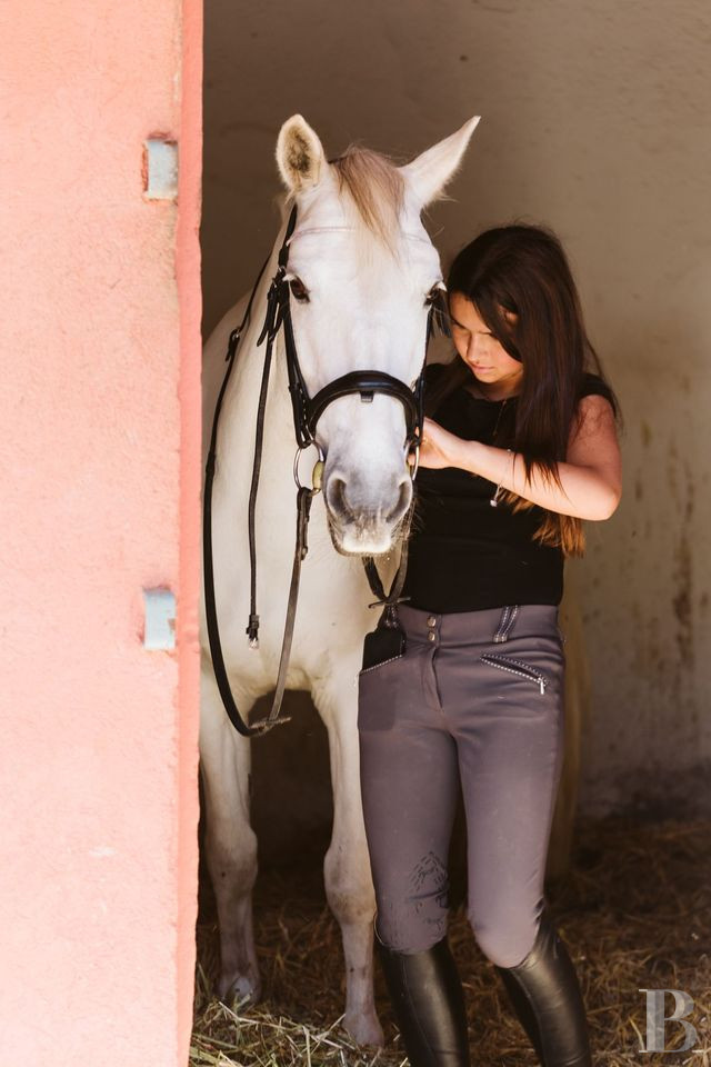 An estate dedicated to holidays and horse riding between Aubagne and Saint-Cyr-sur-Mer in the Bouches-du-Rhône department  - photo  n°7