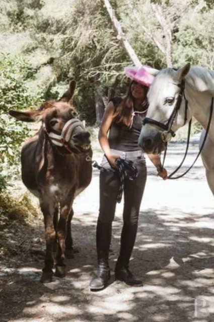 An estate dedicated to holidays and horse riding between Aubagne and Saint-Cyr-sur-Mer in the Bouches-du-Rhône department  - photo  n°2