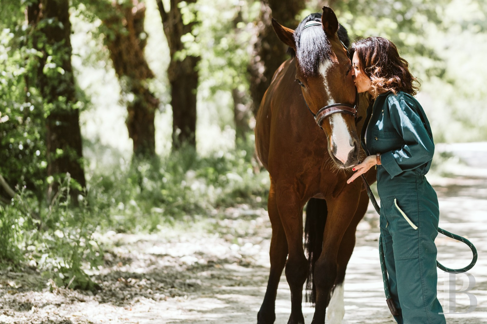 An estate dedicated to holidays and horse riding between Aubagne and Saint-Cyr-sur-Mer in the Bouches-du-Rhône department  - photo  n°40