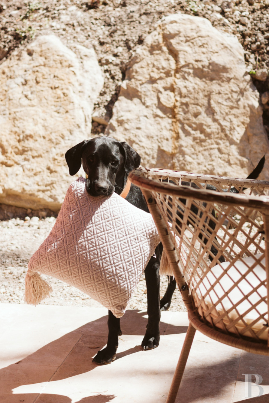 An estate dedicated to holidays and horse riding between Aubagne and Saint-Cyr-sur-Mer in the Bouches-du-Rhône department  - photo  n°2