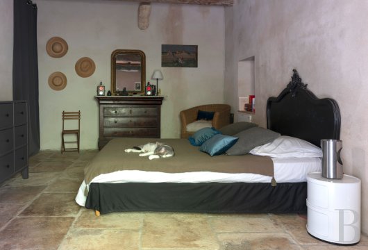 mansion houses for sale France languedoc roussillon   - 9