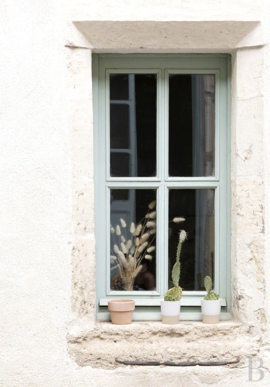 mansion houses for sale France languedoc roussillon   - 4
