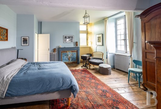 chateaux for sale France poitou charentes   - 9