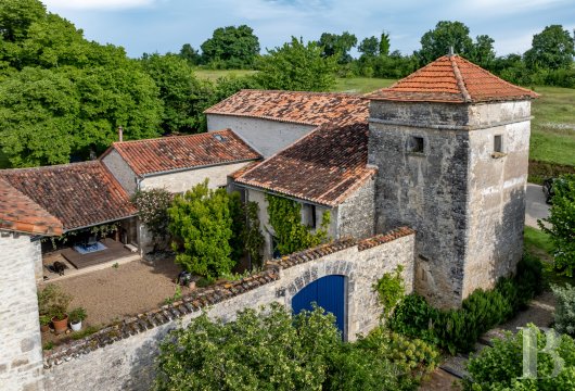 chateaux for sale France poitou charentes   - 3