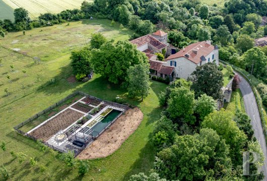 chateaux for sale France poitou charentes   - 5