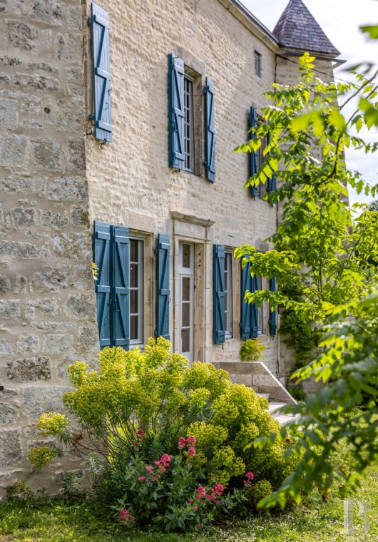 chateaux for sale France poitou charentes   - 4
