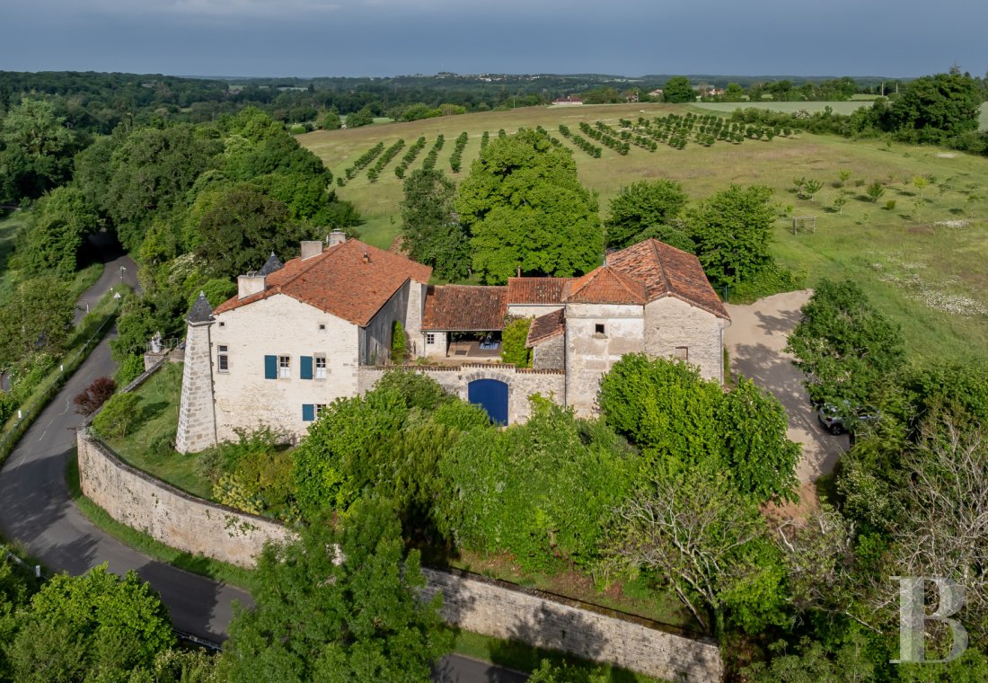 chateaux for sale France poitou charentes   - 2