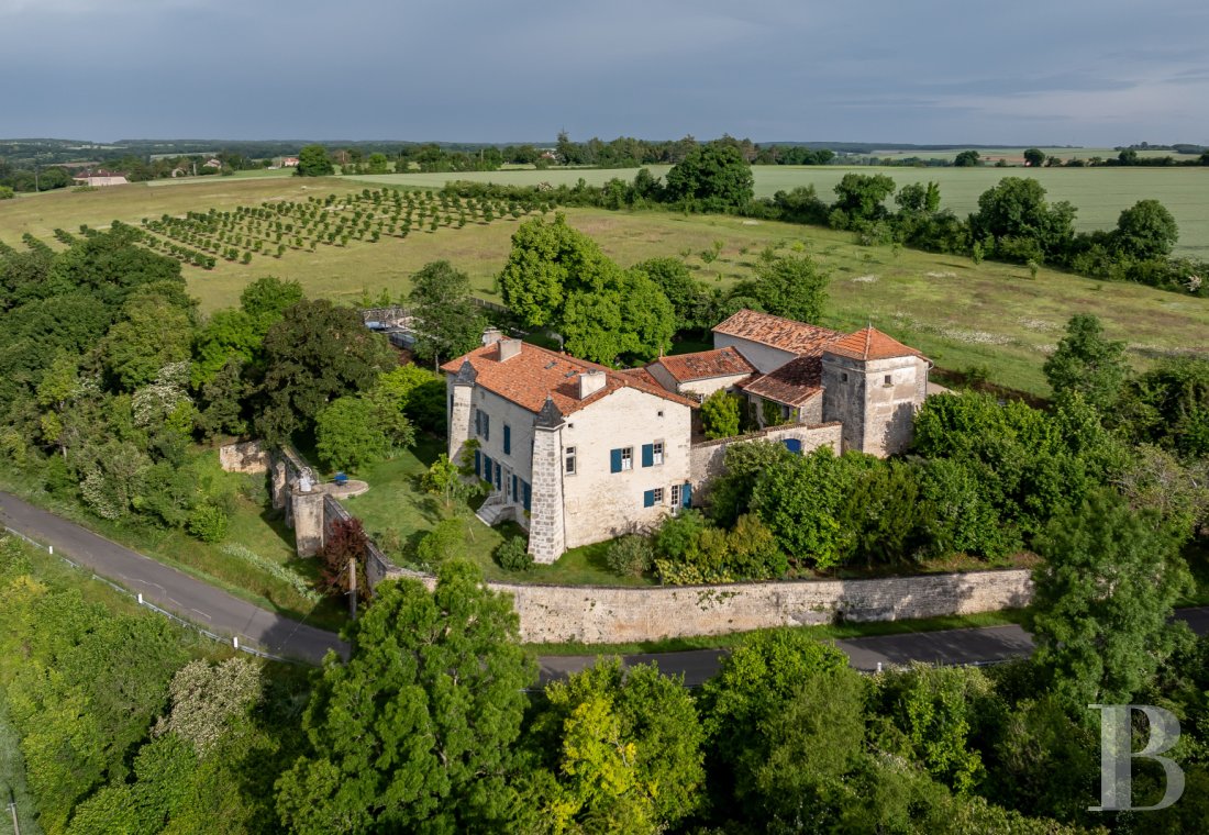 chateaux for sale France poitou charentes   - 1