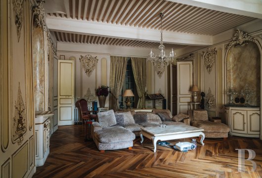 chateaux a vendre rhones alpes   - 8