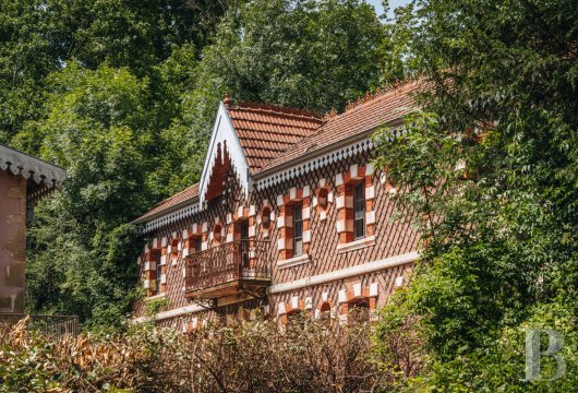 chateaux a vendre rhones alpes   - 19