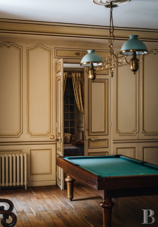chateaux a vendre rhones alpes   - 12