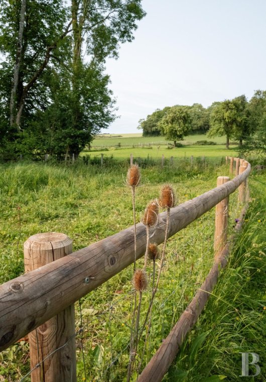 An 18th-century manor house transformed into a hotel and restaurant, not far from Mortagne-au-Perche, in Orne - photo  n°49