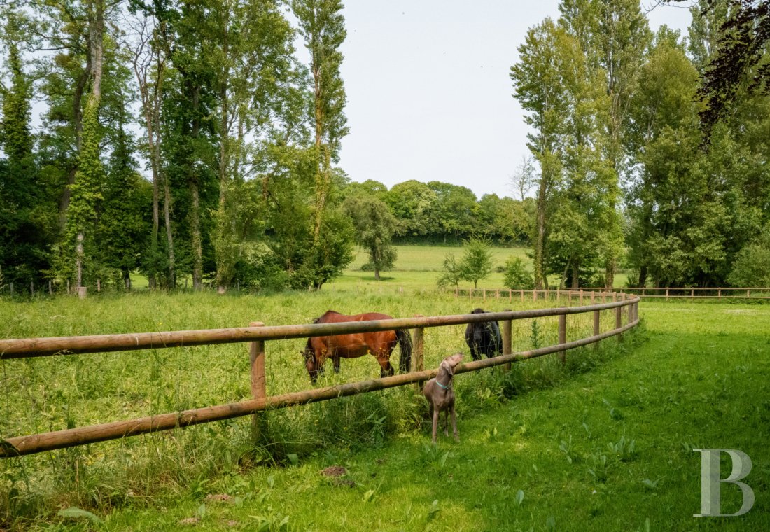 An 18th-century manor house transformed into a hotel and restaurant, not far from Mortagne-au-Perche, in Orne - photo  n°3