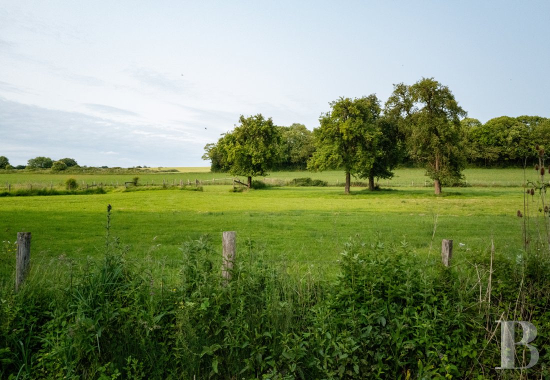 An 18th-century manor house transformed into a hotel and restaurant, not far from Mortagne-au-Perche, in Orne - photo  n°50
