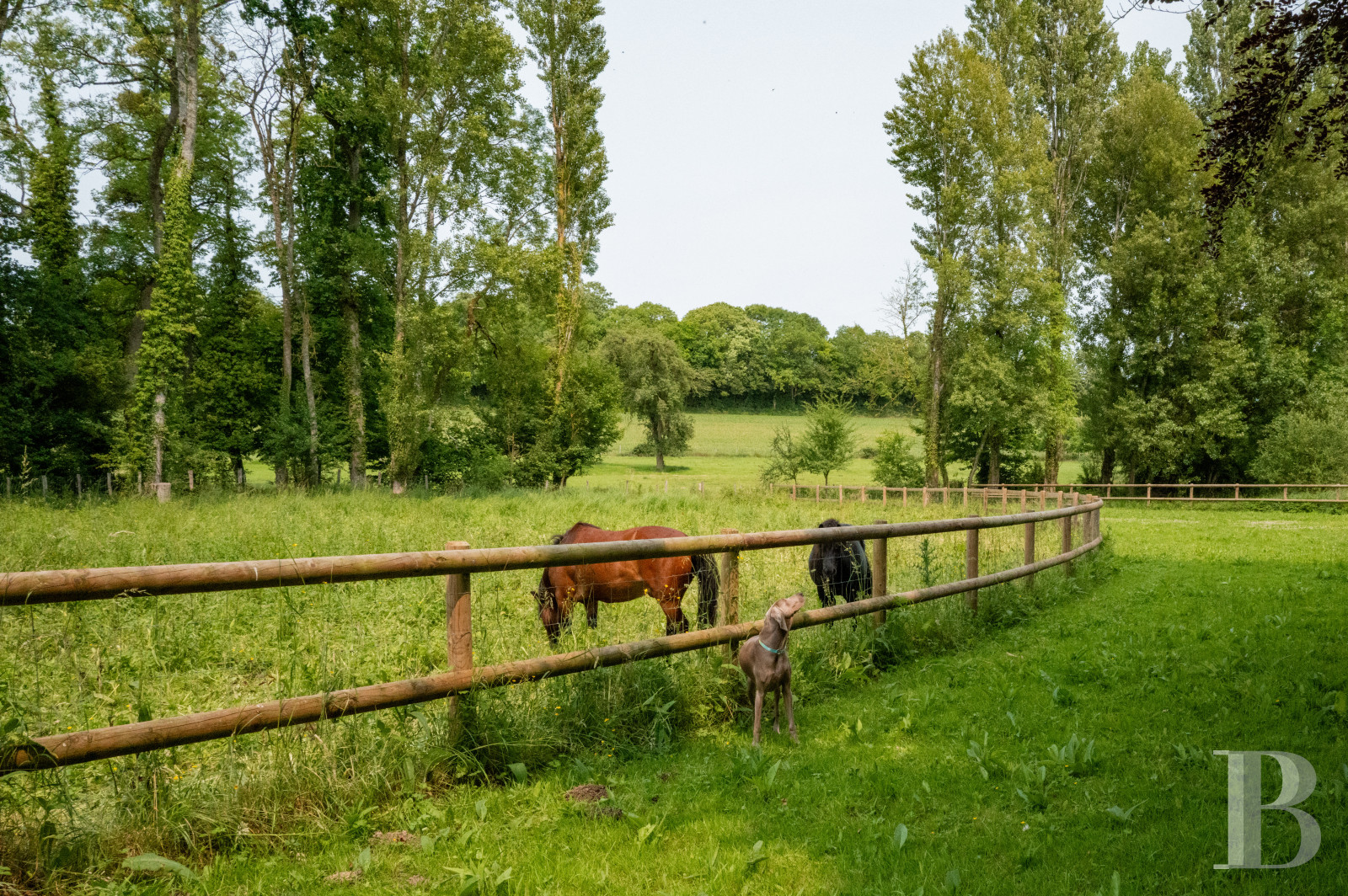 An 18th-century manor house transformed into a hotel and restaurant, not far from Mortagne-au-Perche, in Orne - photo  n°3
