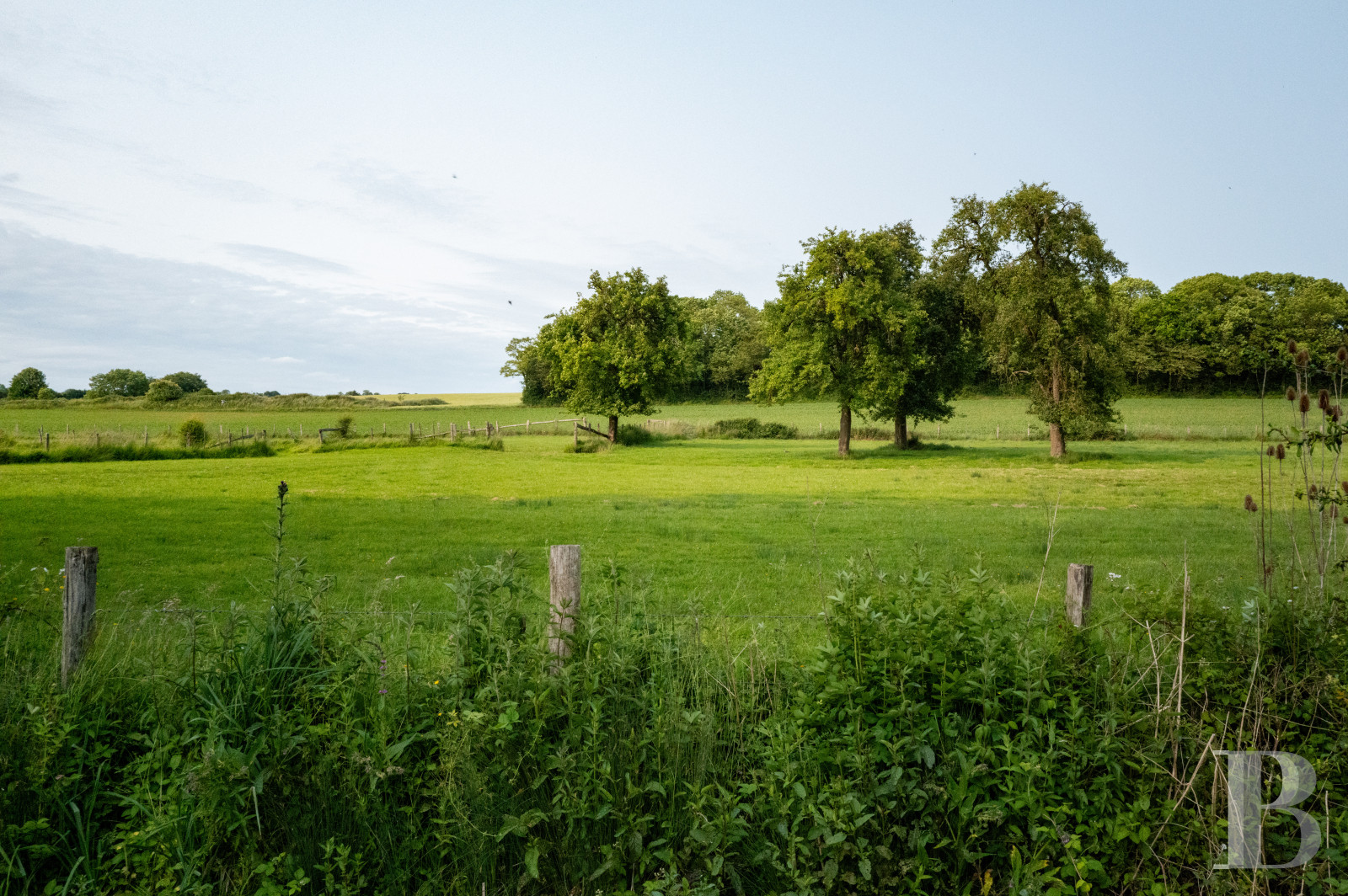 An 18th-century manor house transformed into a hotel and restaurant, not far from Mortagne-au-Perche, in Orne - photo  n°50