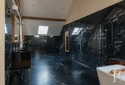 mansion houses for sale France ile de france   - 12