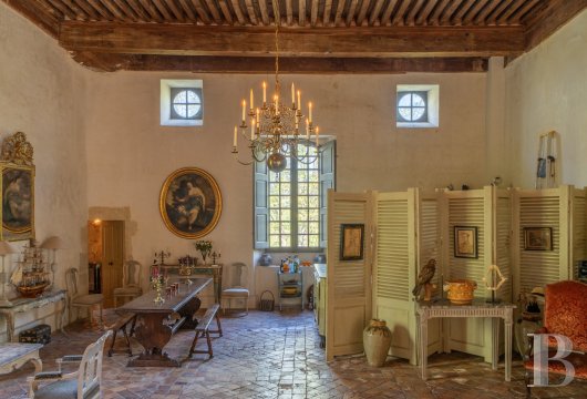 chateaux for sale France languedoc roussillon   - 8
