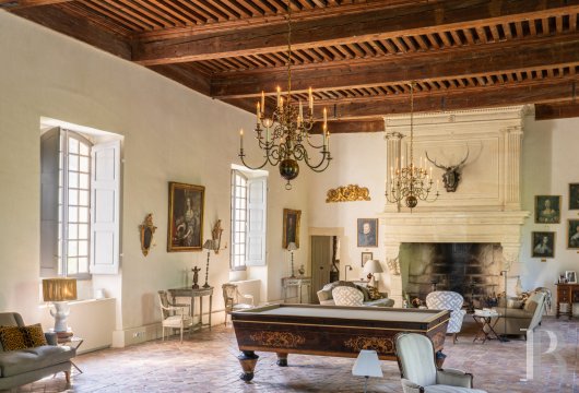chateaux for sale France languedoc roussillon   - 6