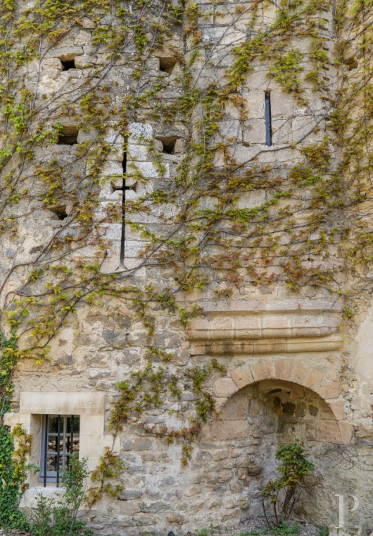 chateaux for sale France languedoc roussillon   - 4