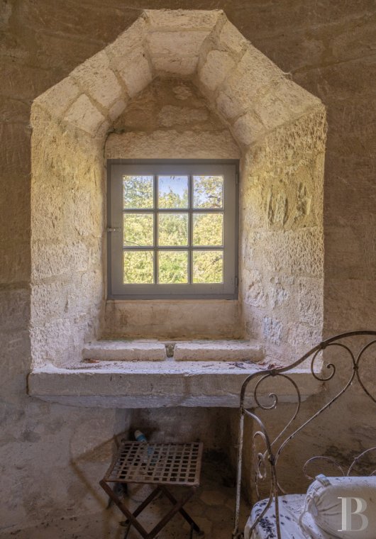 chateaux for sale France languedoc roussillon   - 9