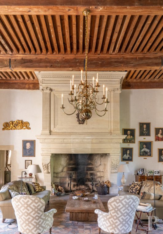 chateaux for sale France languedoc roussillon   - 7