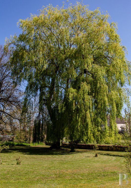 manoirs a vendre franche comte   - 14