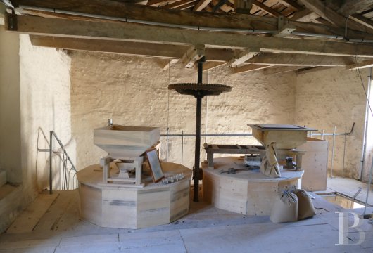 mills for sale France poitou charentes   - 13
