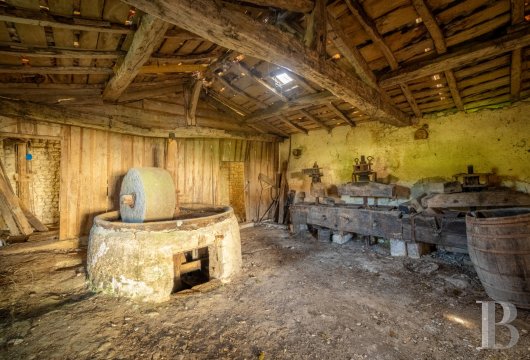 mills for sale France poitou charentes   - 11