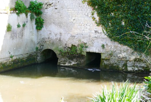 mills for sale France poitou charentes   - 10