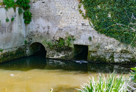 mills for sale France poitou charentes   - 10