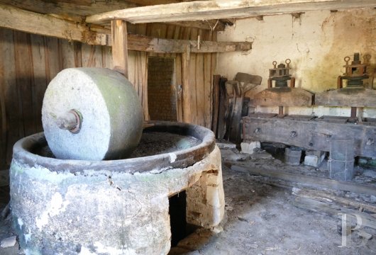 mills for sale France poitou charentes   - 12