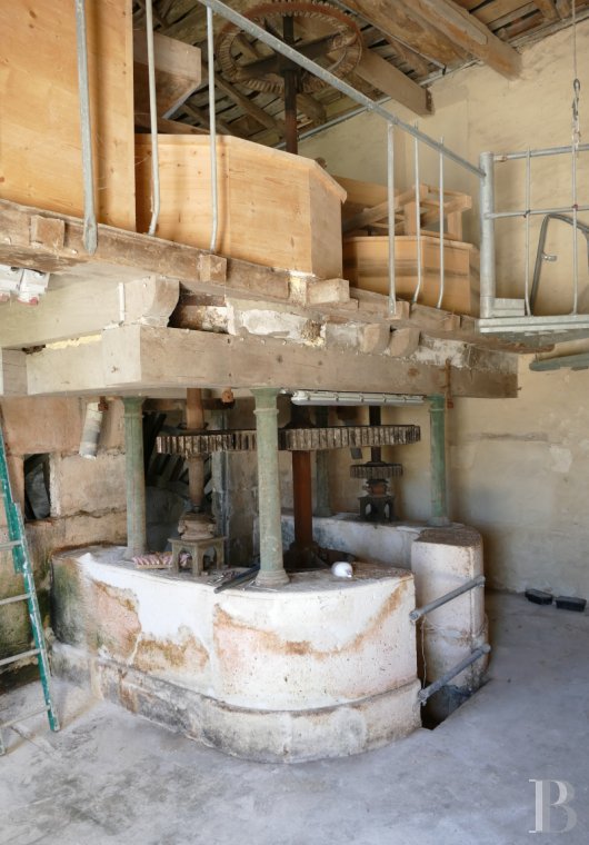 mills for sale France poitou charentes   - 11