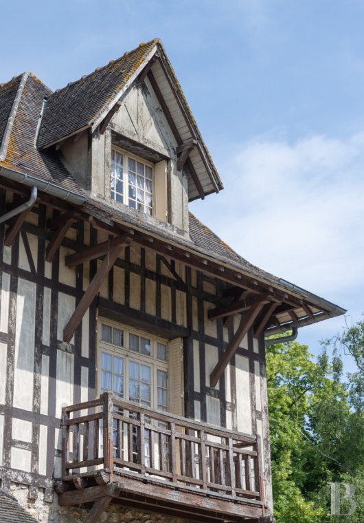 France mansions for sale ile de france   - 4