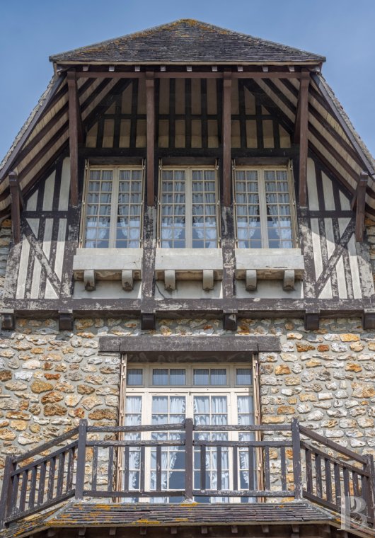 France mansions for sale ile de france   - 3