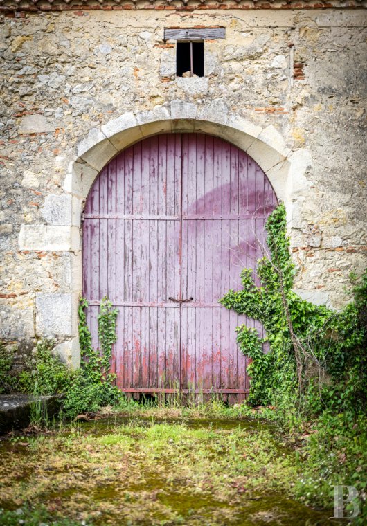 chateaux a vendre aquitaine   - 17