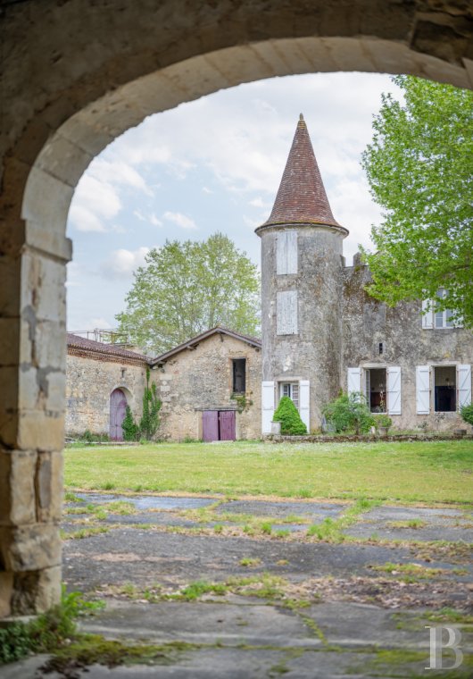 chateaux a vendre aquitaine   - 19
