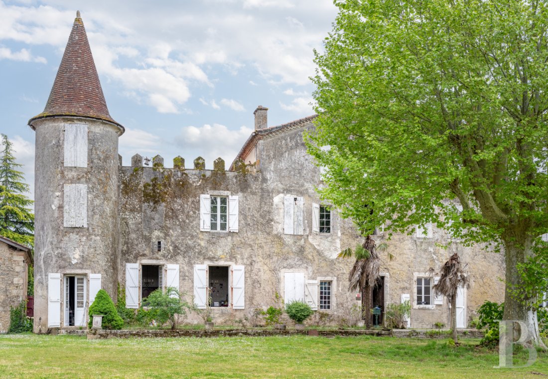 chateaux a vendre aquitaine   - 3