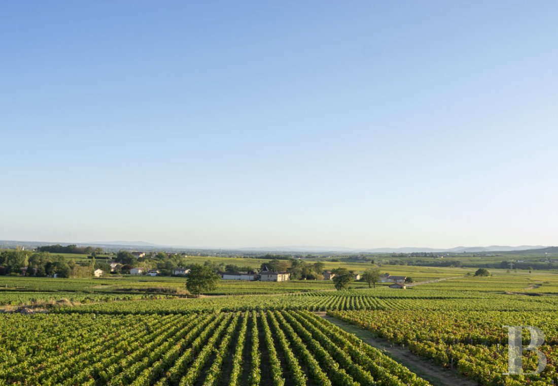 A 19th-century house in the middle of vineyards in Saint-Amour-Bellevue, in Saône-et-Loire - photo  n°3