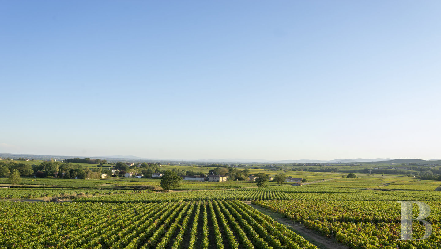 A 19th-century house in the middle of vineyards in Saint-Amour-Bellevue, in Saône-et-Loire - photo  n°3