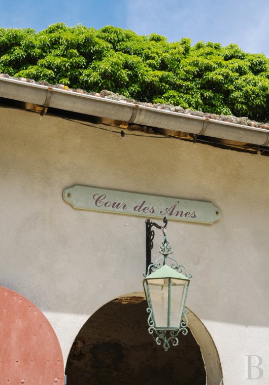 chateaux a vendre auvergne   - 15