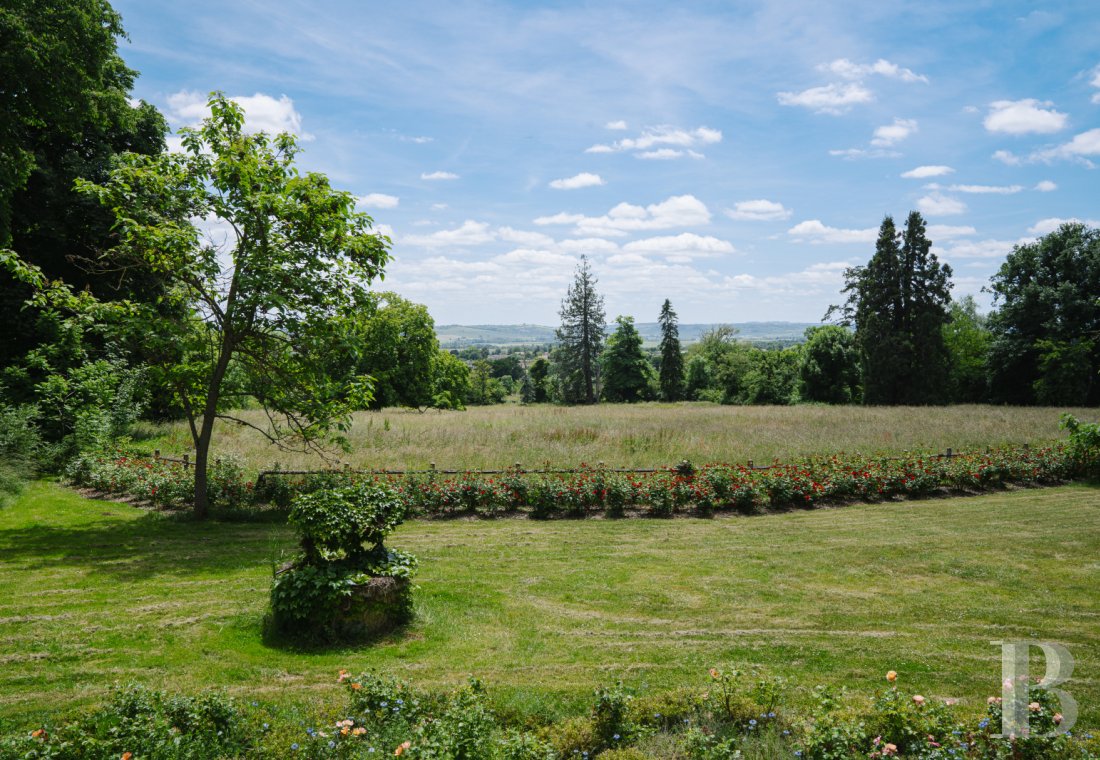 chateaux a vendre auvergne   - 17