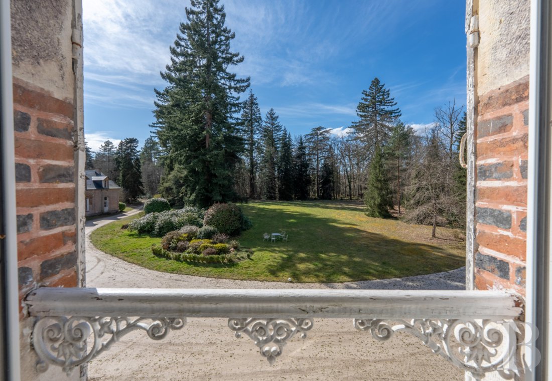 chateaux for sale France center val de loire   - 1